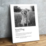 Mockup Poster (1)